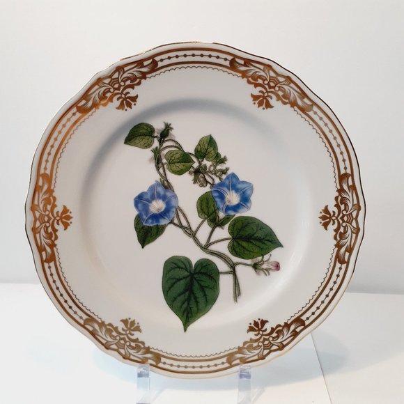 Andrea By Sadek Other - Andrea by Sadek, Golden Botanical by Robert Sweet 1824 London Plate 10 1/2"-